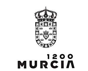 AYUNTAMIENTO DE MURCIA